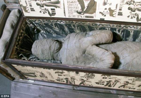 мумия на чердаке