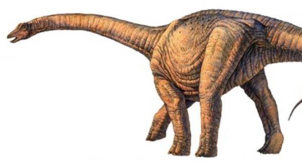 динозавр3