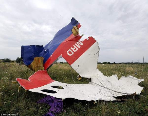 MH17 самолет2