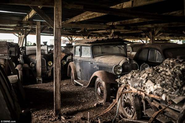 Автомобили были собраны на ферме Роджером Байлоном. Он их реставрировал и хотел сделать музей.