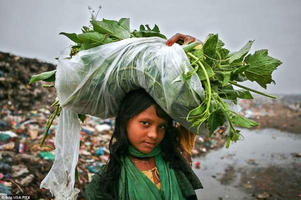 Молодая девушка направляется домой в конце дня с  овощами, которые она нашла на свалке.