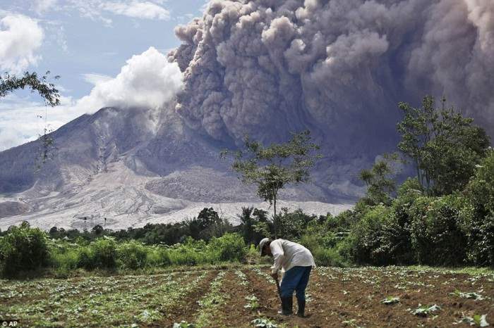 Фермер продолжает трудиться на огороде на индонезийском острове Суматра, когда вулкан Синабунг выбрасывает столб пепла и пыли.
