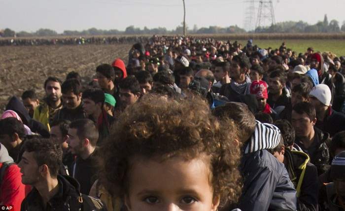 В Европе крайне обеспокоены потоком мигрантов, который обусловлен войне в Сирии.
