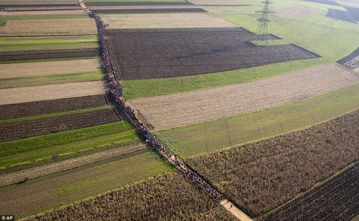 Огромная колонна мигрантов проходит через поля в Ригонсе, в Словении, после того, как провели на границе Хорватии нескольких дней.