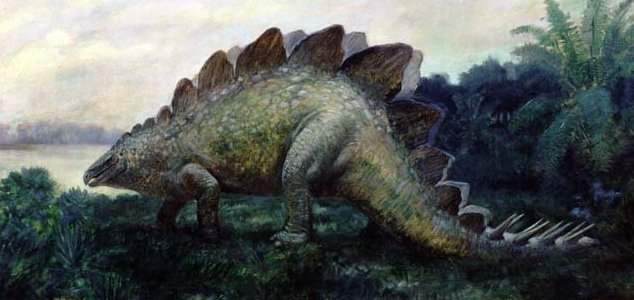 news-stegosaurus