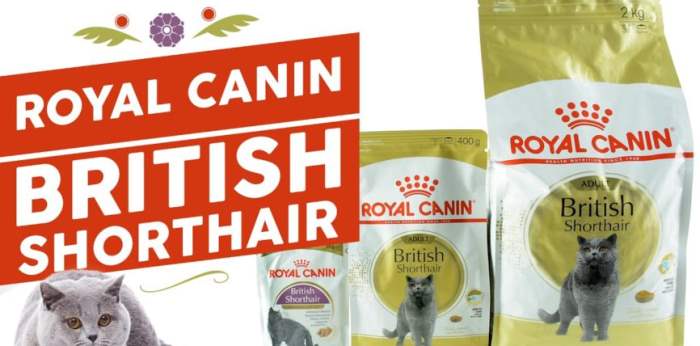 Royal Canin British Shorthair Adult