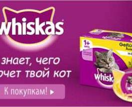 whiska