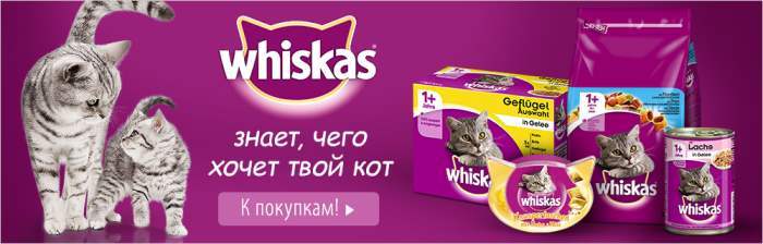 whiska