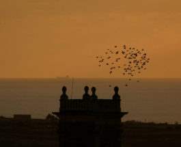 Птицы летят над островом Гозо, Мальта.
