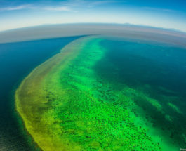 Большой Австралийский Барьерный Риф