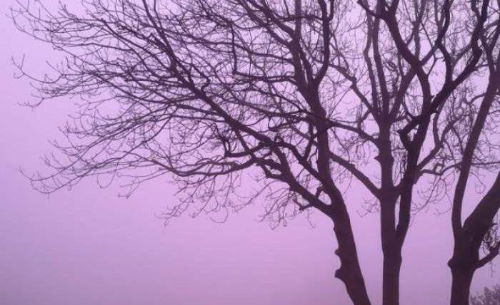 розовый туман
