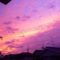 хагибис фиолетовое небо