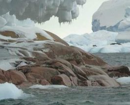 В Антарктиде обнаружен целый новый остров
