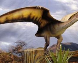 Сахара,птерозавры