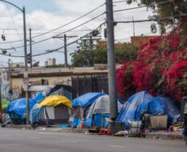 калифорния бездомные