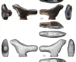 13 000-летняя статуэтка птицы