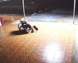 призрак инвалидная коляска