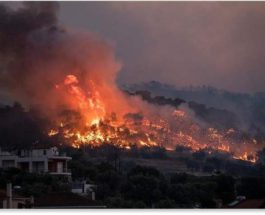 греция лесные пожары