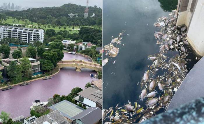 Сингапур, вода, загрязнение, экология,