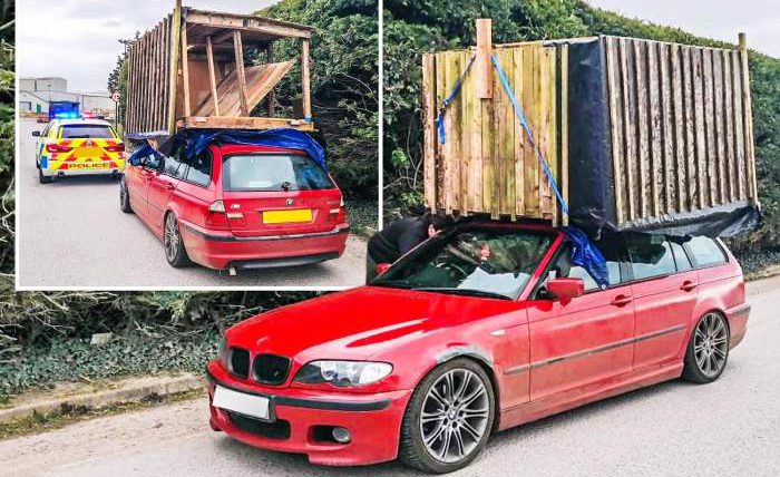 BMW, крыша, сарай, курятник,