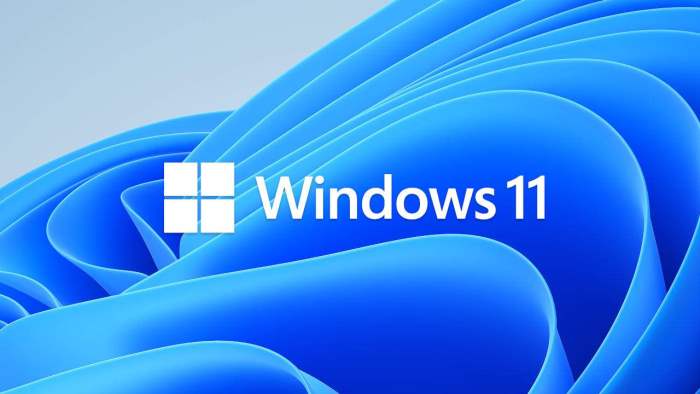 обновление, Windows 11, Windows 10,