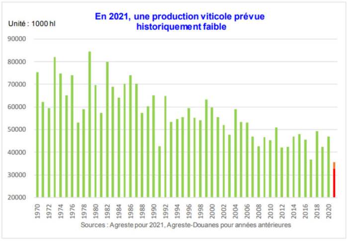 Виноделы во Франции ожидают худший урожай с 1945 года