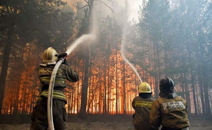 Россия, лесные пожары,