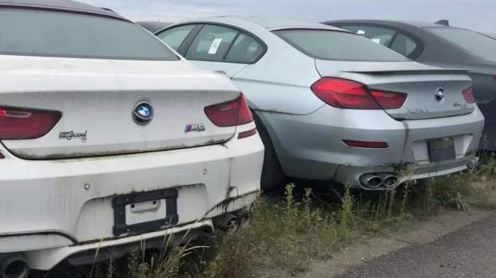 BMW, MINI, Канада,