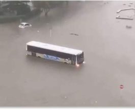 Уругвай, Монтевидео, наводнение,